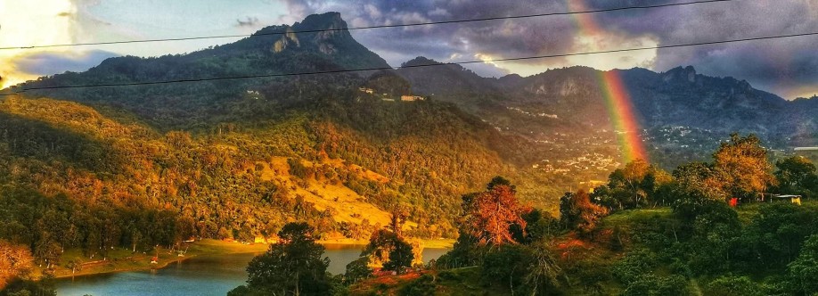 Mónica Castillo Lavalle Cover Image