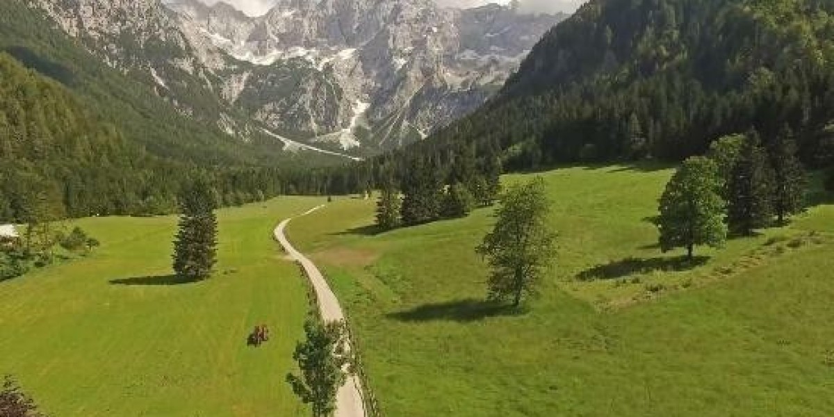 HELOC, home Equity Loan, or Cash out Refinance: which is Right For You?