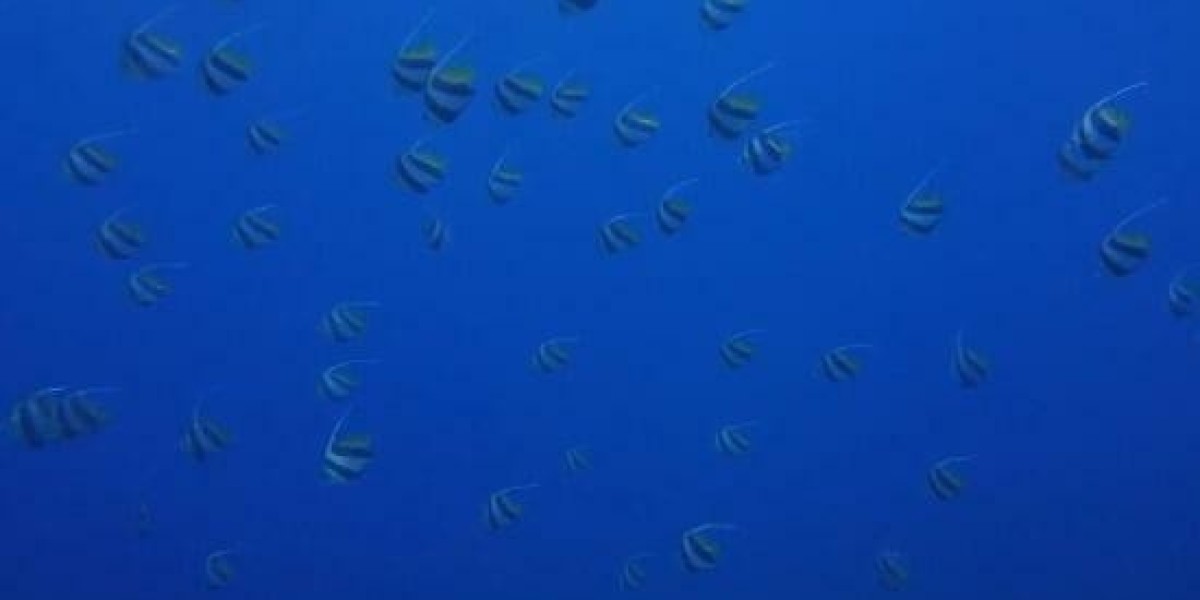 What is a Ground Lease?