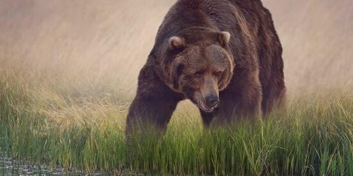 Understanding Turnover Rent: what uK Businesses Need to Know in Commercial Leases