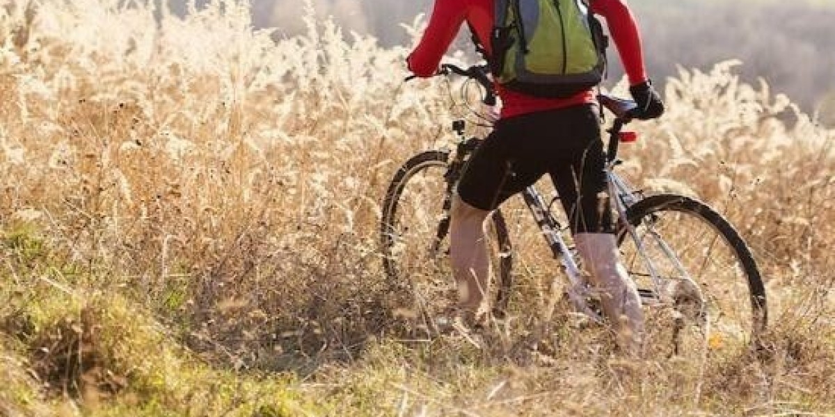 Transaction Privilege Tax