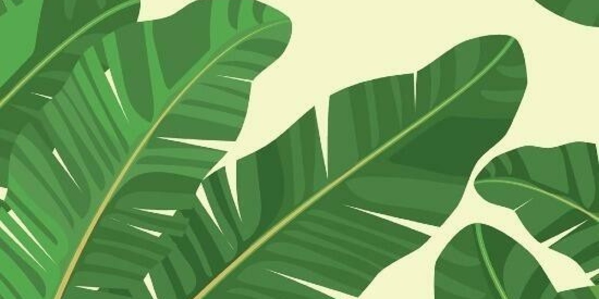 Twenty Five/7 Talent Agency - Transforming Lives And Breaking The Cycle Of Disadvantage